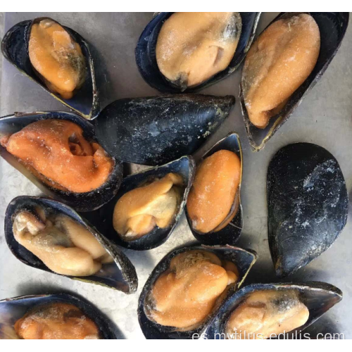 mejillones de media concha congelados venta caliente de sabor natural